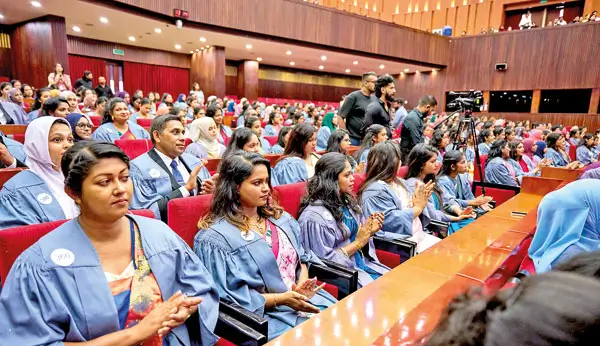 Degree vs Diploma vs HND: What Is the Difference and Which One Is Right for You?