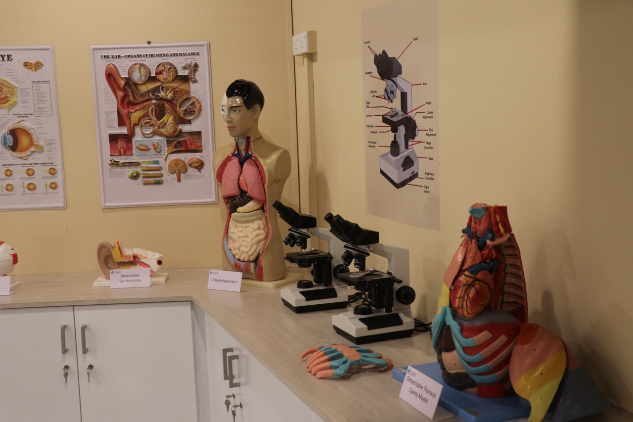 aantomy lab-7