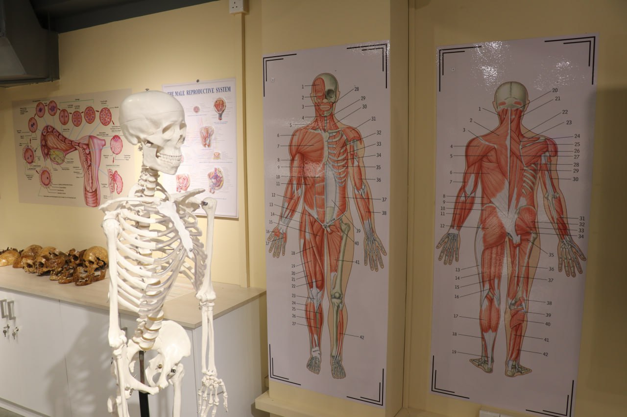 anatomy lab-8