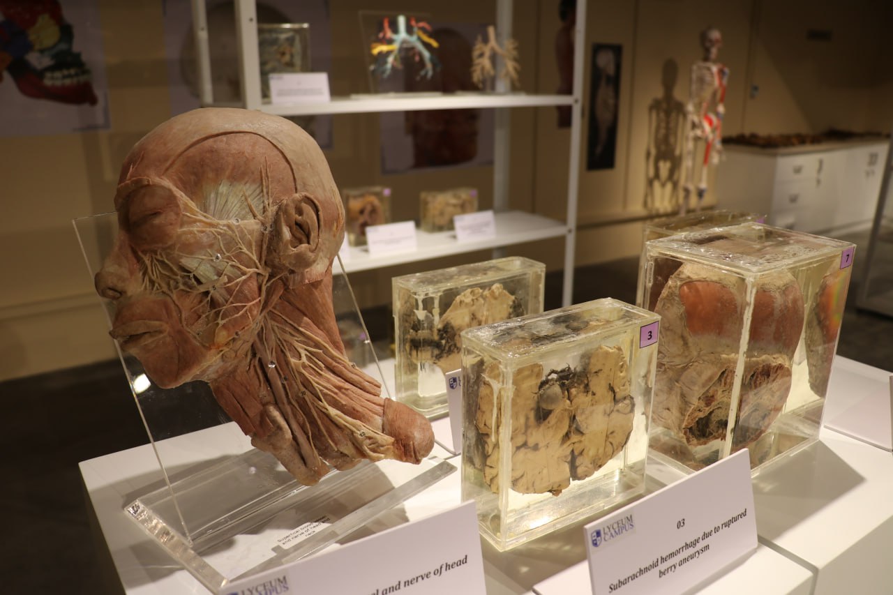 anatomy lab-3