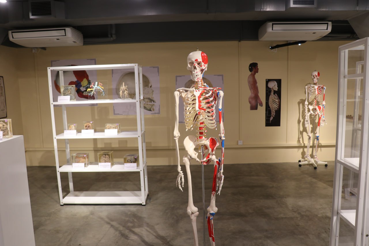 anatomy lab-1
